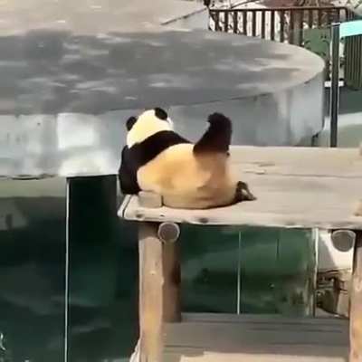Чёс-ч<wbr>ёс...