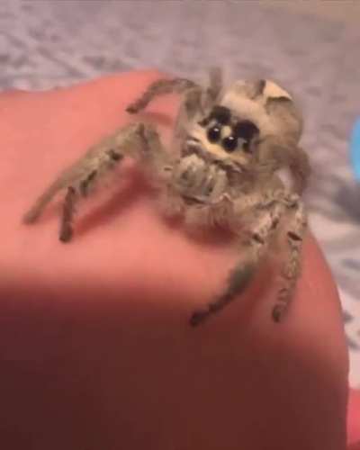 surprise!