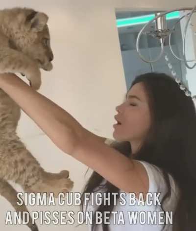 Sigma cub mindset 💪💪