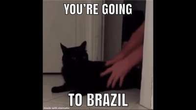To Brazil you go