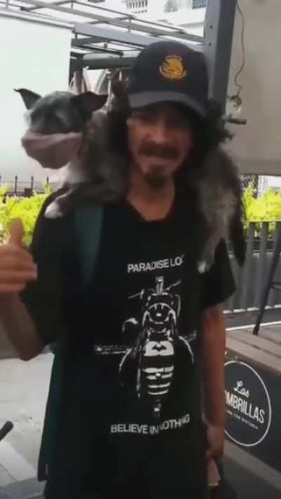 Marihuana <3