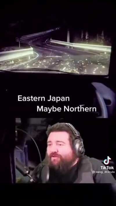Japan roads~