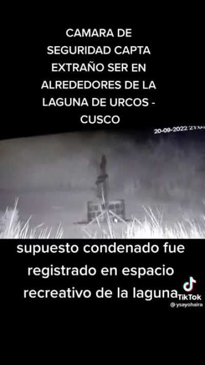 Buenas noches. 👻