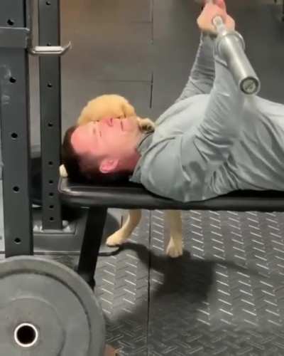 You can do it hooman!