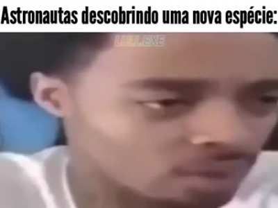 Nova espécie