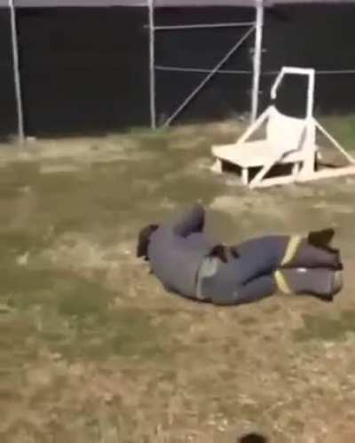 Собака за шиворот пооймака