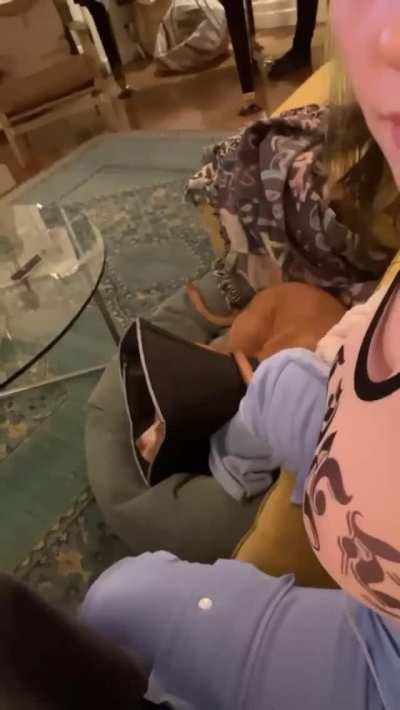 Billie Eilish slapping get big tits