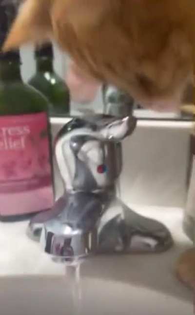 One brain cell isn’t enough to understand taps