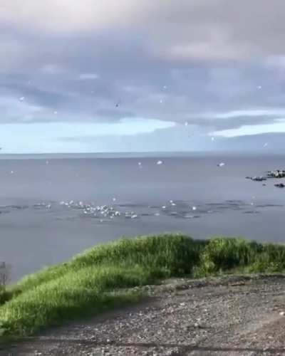 Атака с воздуха