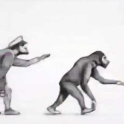 Reject monke return to [removed]