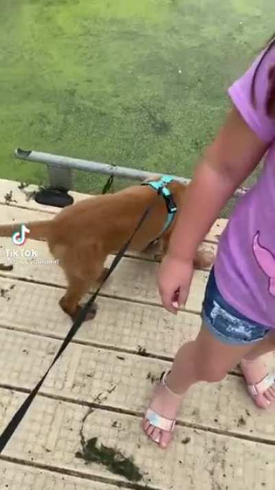 He was 95% sure it was land