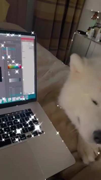 WFH is hard