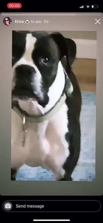 What is she’s sad?!?! RUFF!!!!