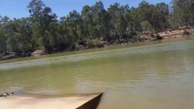 Water skiing at 100mph+ at the Southern 80 ski race
