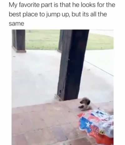 Go little rockstar!