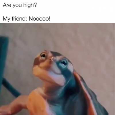 Just once in a while!