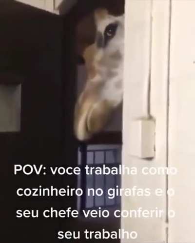 Õ patrão não da uma folga
