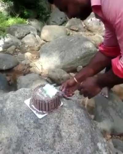 A slice of cake for you
