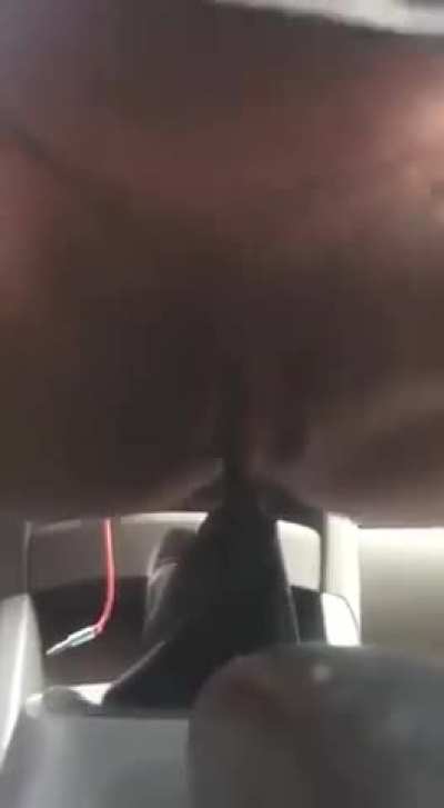 Enjoy of your Car