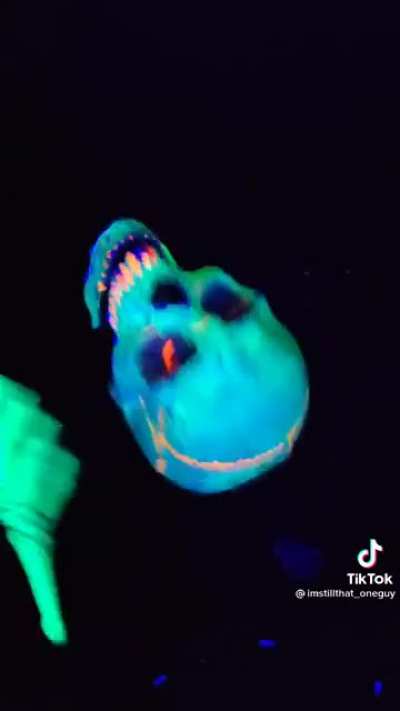 Ooper spooky