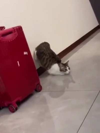 ready go !! go away !!