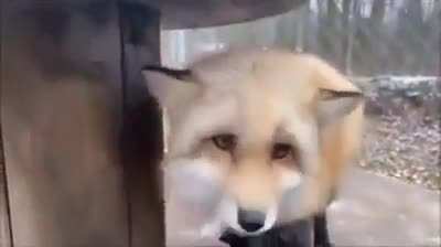 You were expecting something else, right?