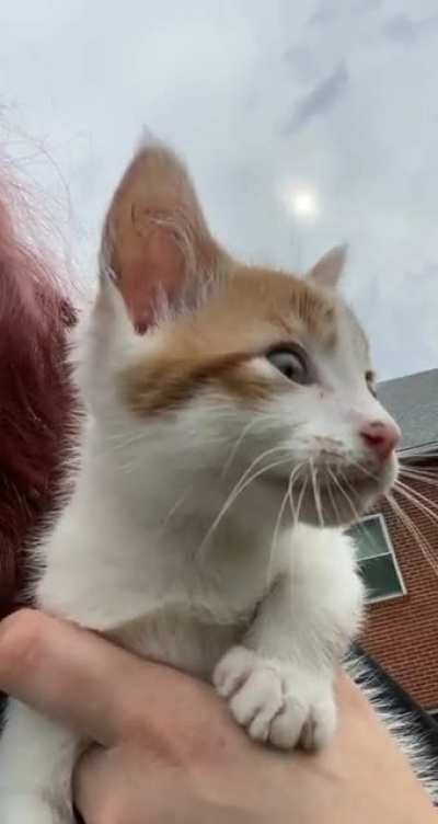 My brother told me this belonged here