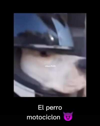 😎😎