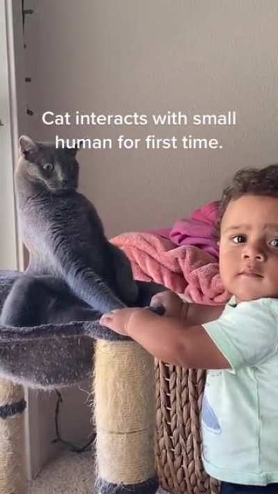 ***