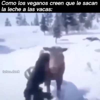 Especistas 😠😠