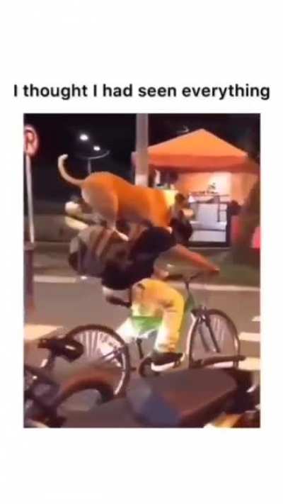 need a ride?