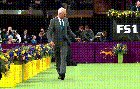 2019 Westminster Dog Show without dogs