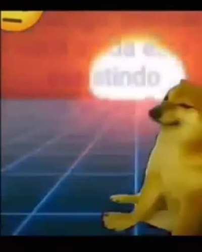 Vida