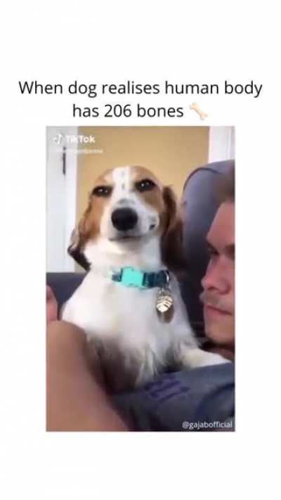 206 Bones :p