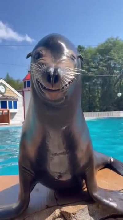 That smile 🤣