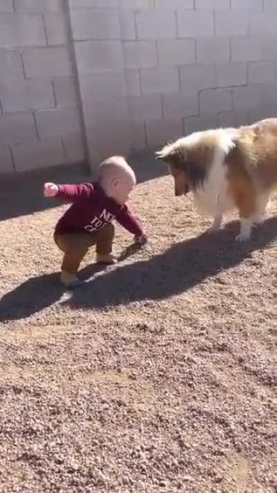 Teaching how to play fetch