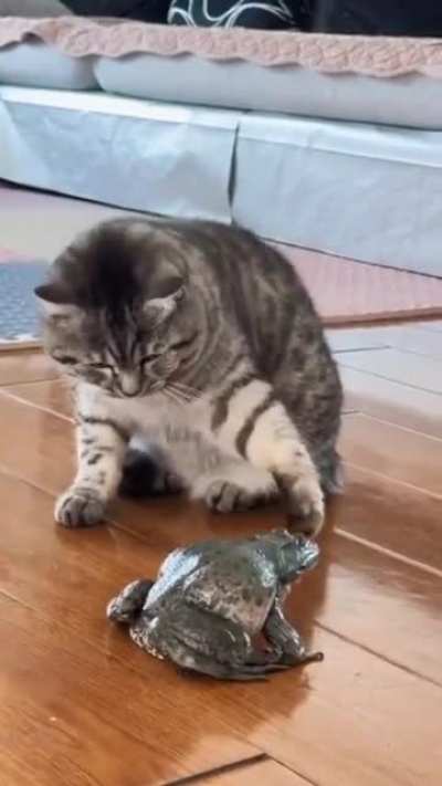 Leave me alone !