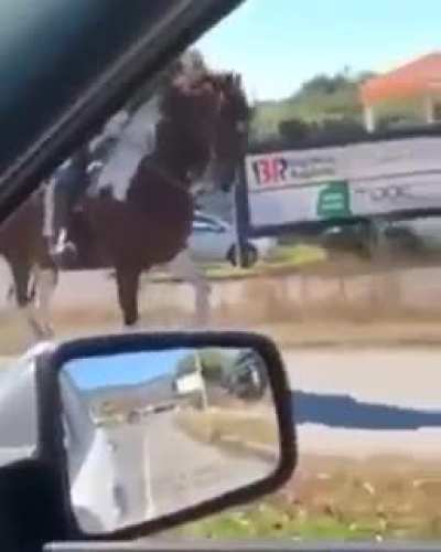The real gangstah horse