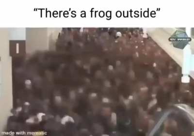 Frog moment