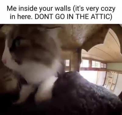 Cozy rule