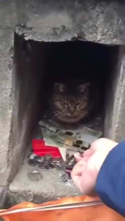 No take! Only give