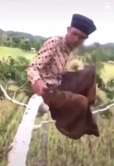 Genius on the branch