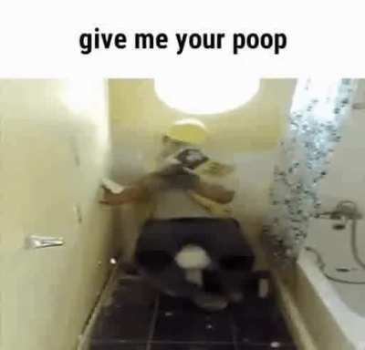 Bruj