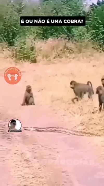 🙊
