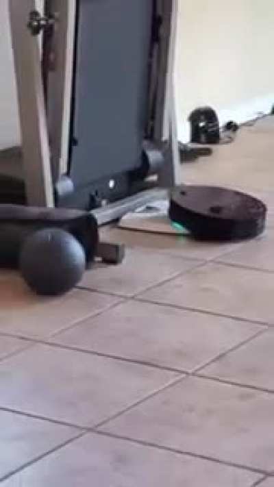 My mom caught our roomba having sex with our scale