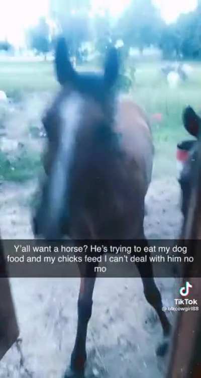 He’s trying to play it off at the end