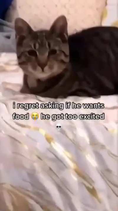 He does want food.