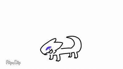 transfurs