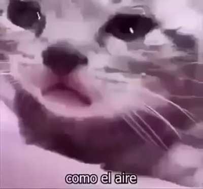 :(