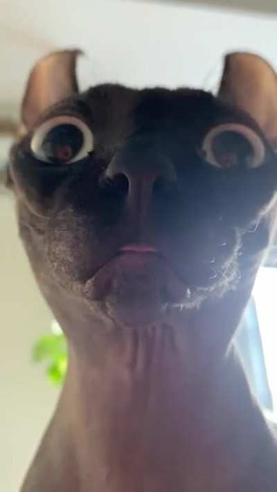 Just gonna leave this here